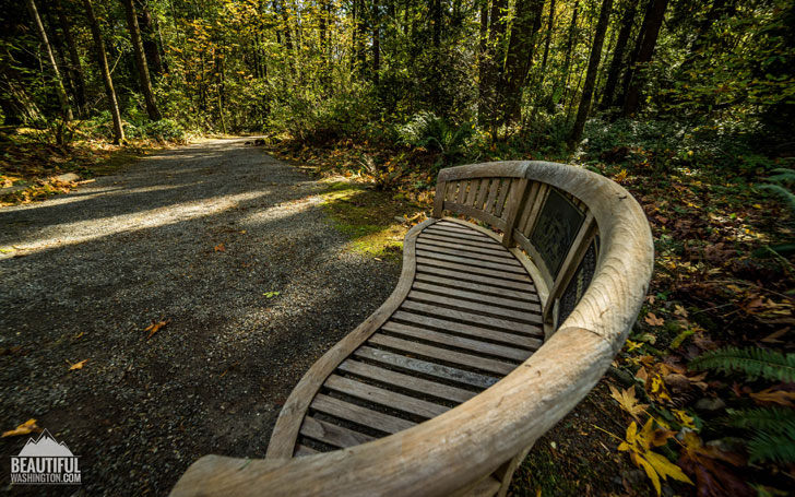 Photo from King County, Bellevue, Bellevue Botanical Garden