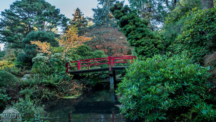 Photo from King County, Seattle, Kubota Garden