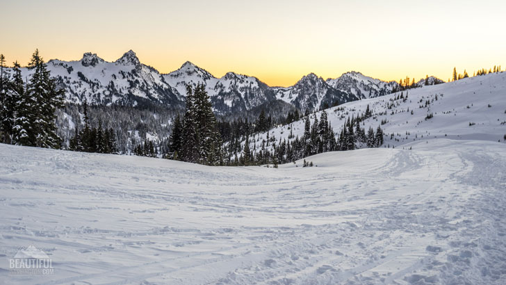 Photo from Mount Rainier National Park, Panorama Point