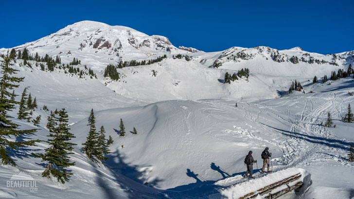 Photo from Mount Rainier National Park, Panorama Point