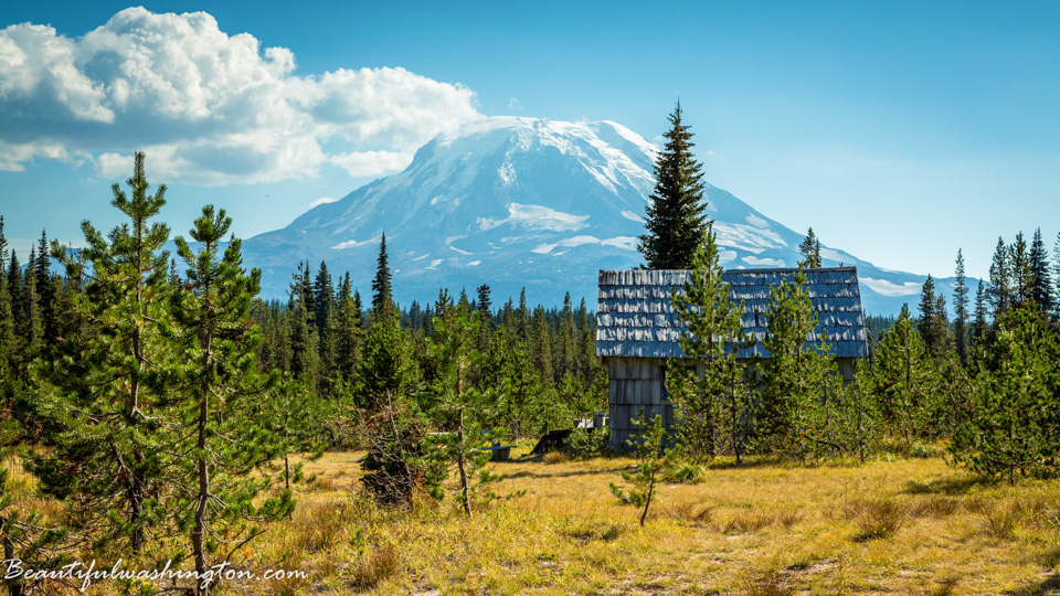 Photo from Washington State