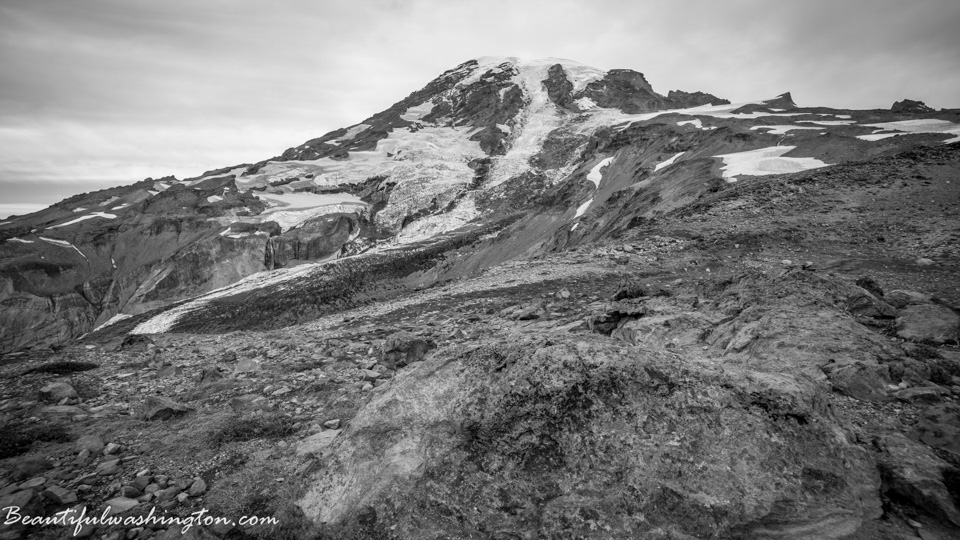 Photo from Washington State