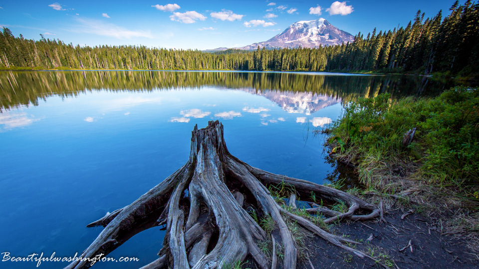 Photo from Washington State