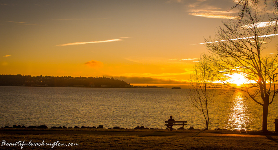 Photo from Washington State