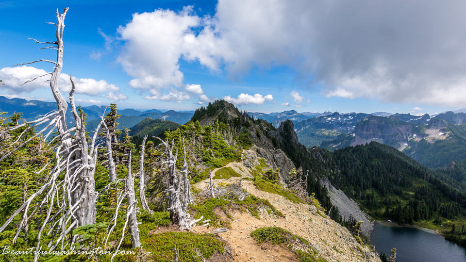 Photo from Washington State