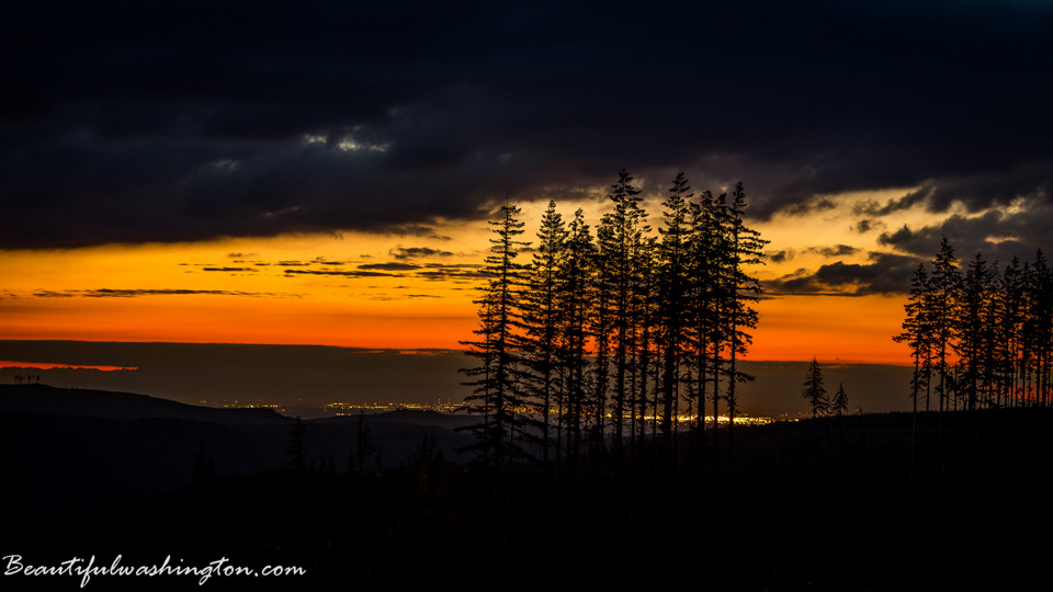 Photo from Washington State