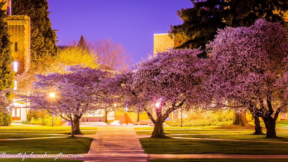 Photo from Washington State