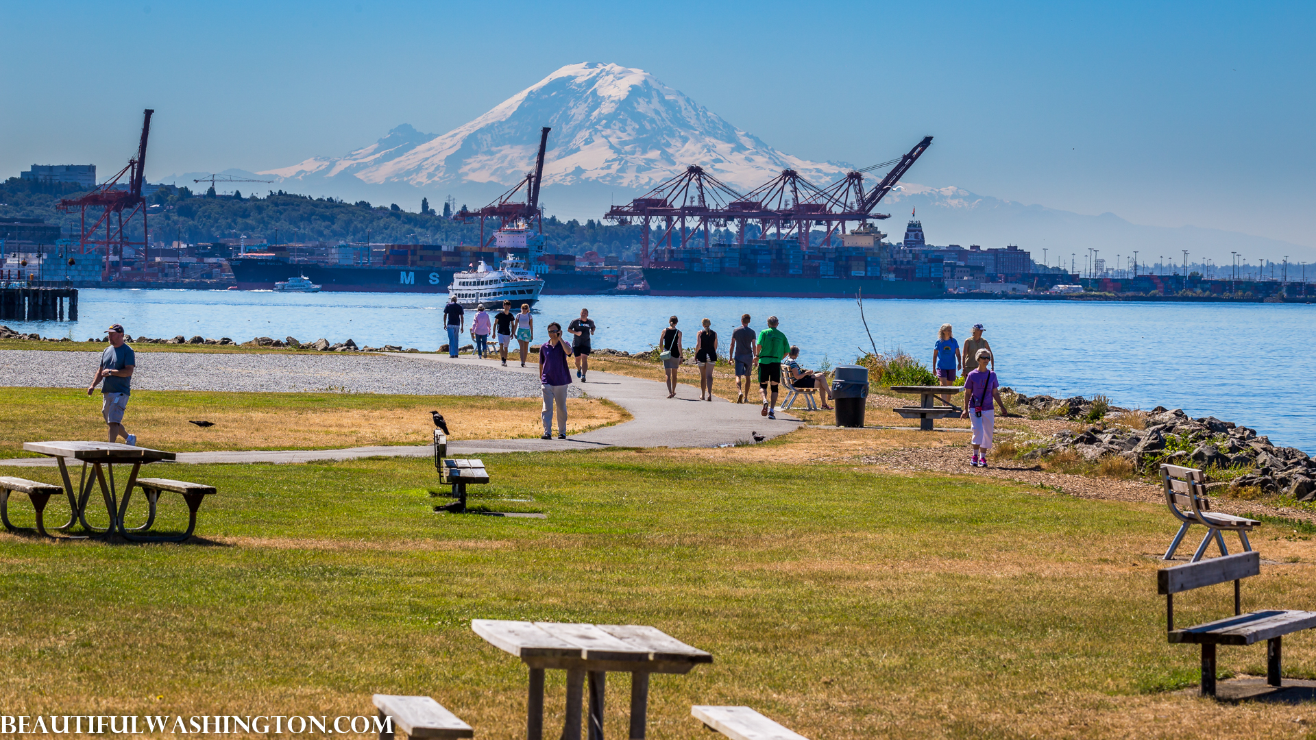 Photo from Washington State