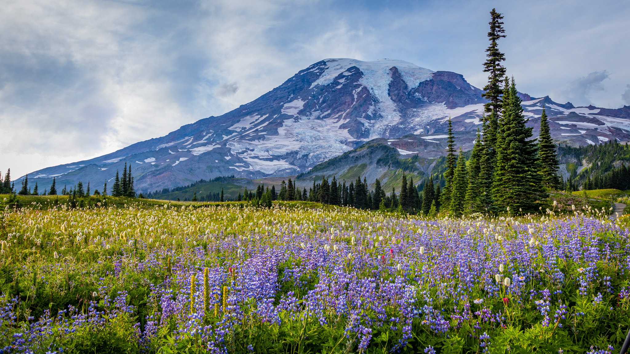 Photo from Washington State