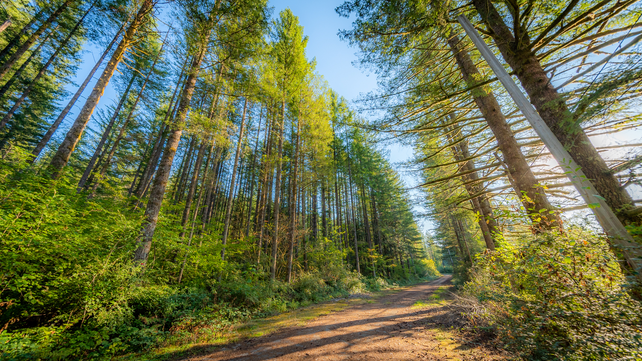 Photo from Washington State