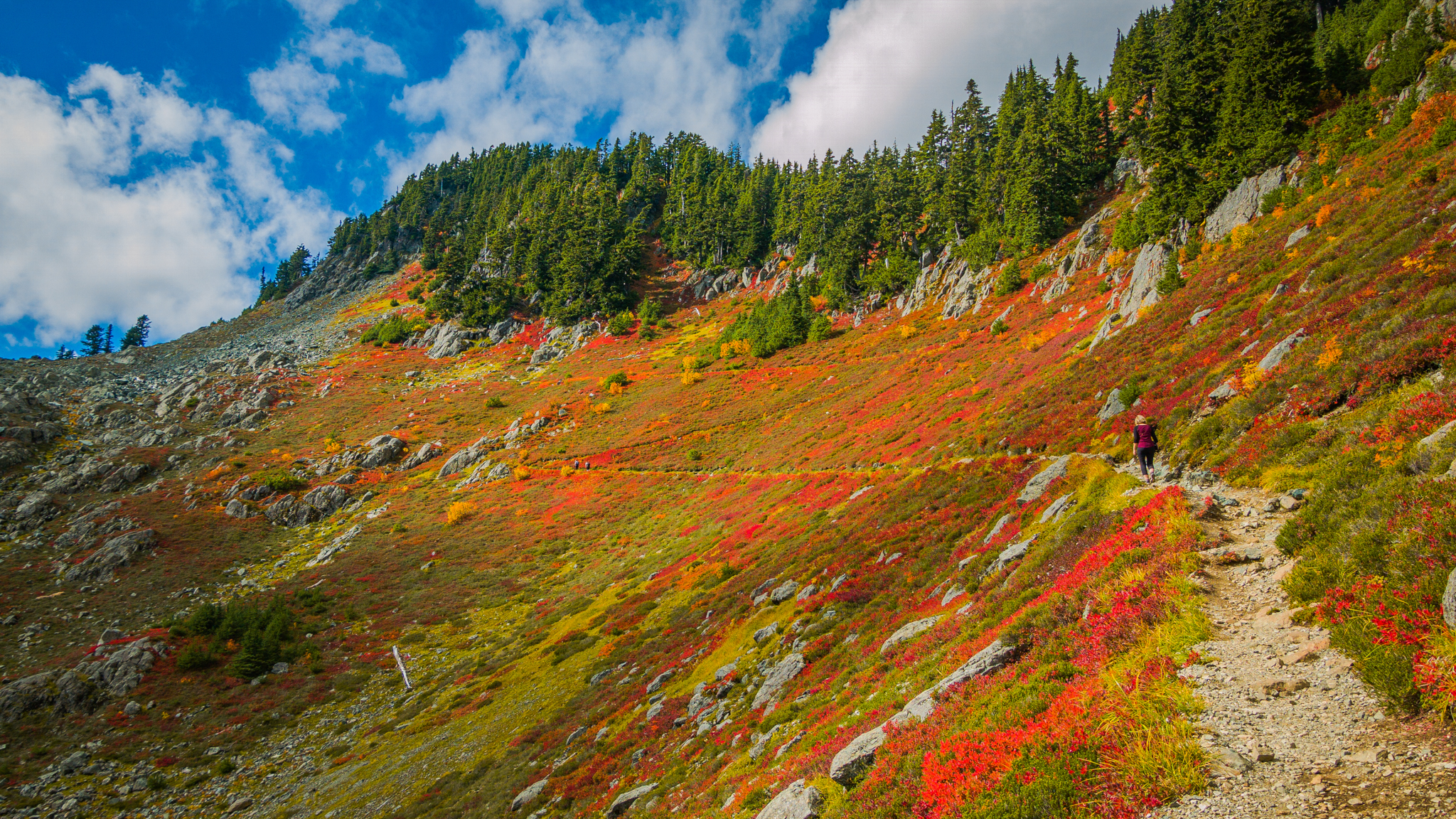 Photo from Washington State