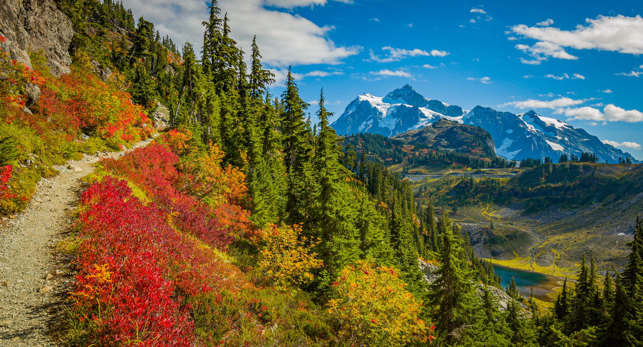 Photo from Washington State