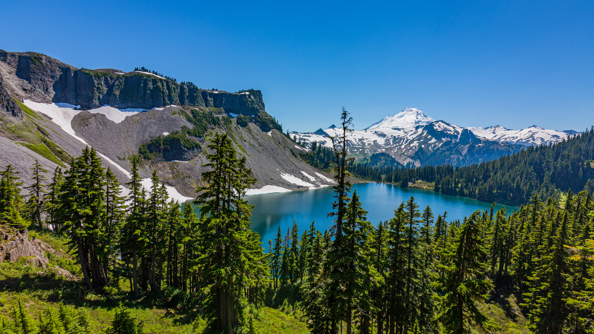 Photo from Washington State