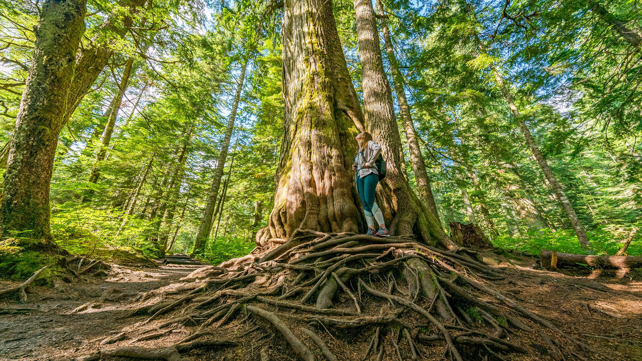 Photo from Washington State