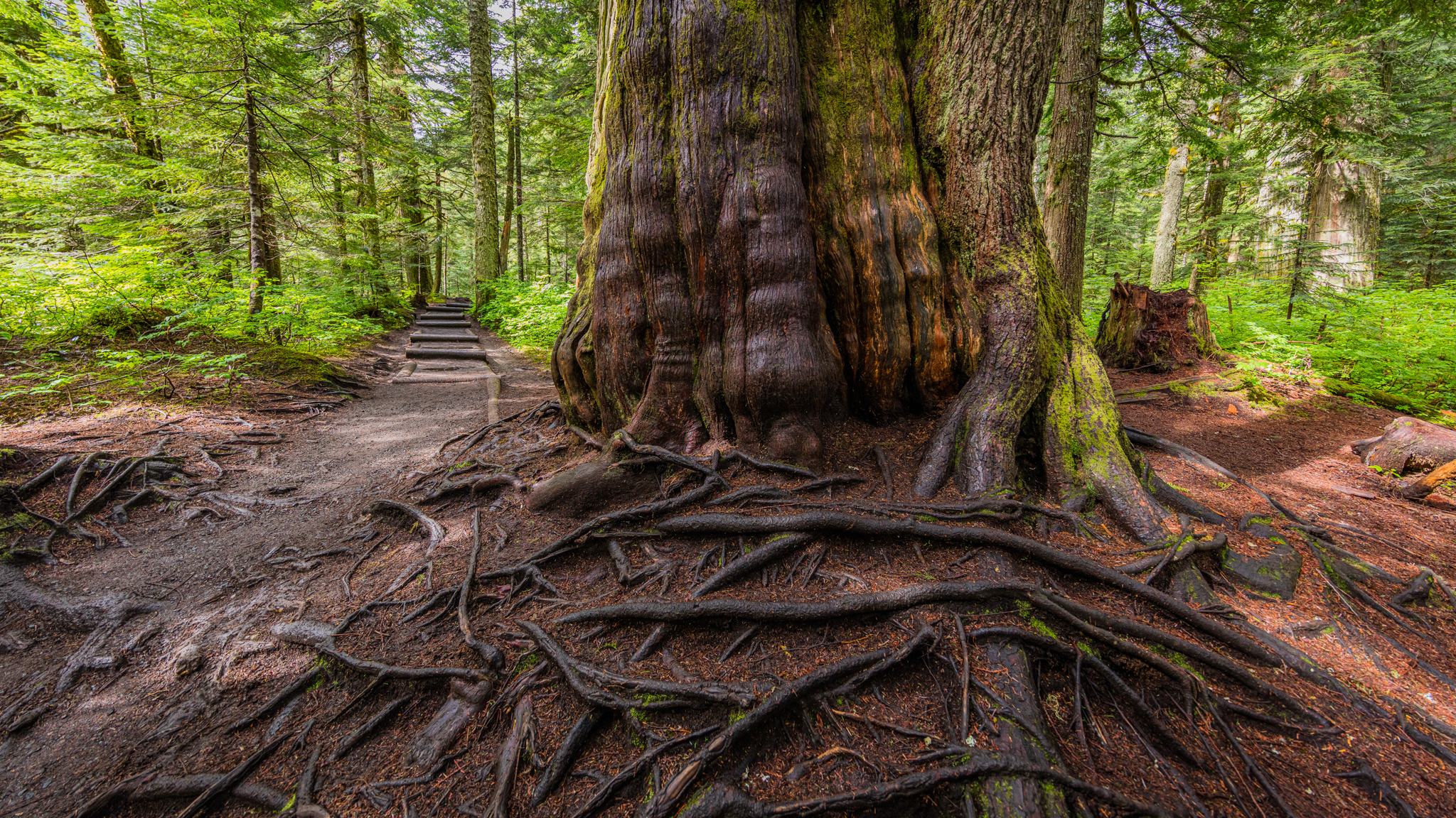 Photo from Washington State