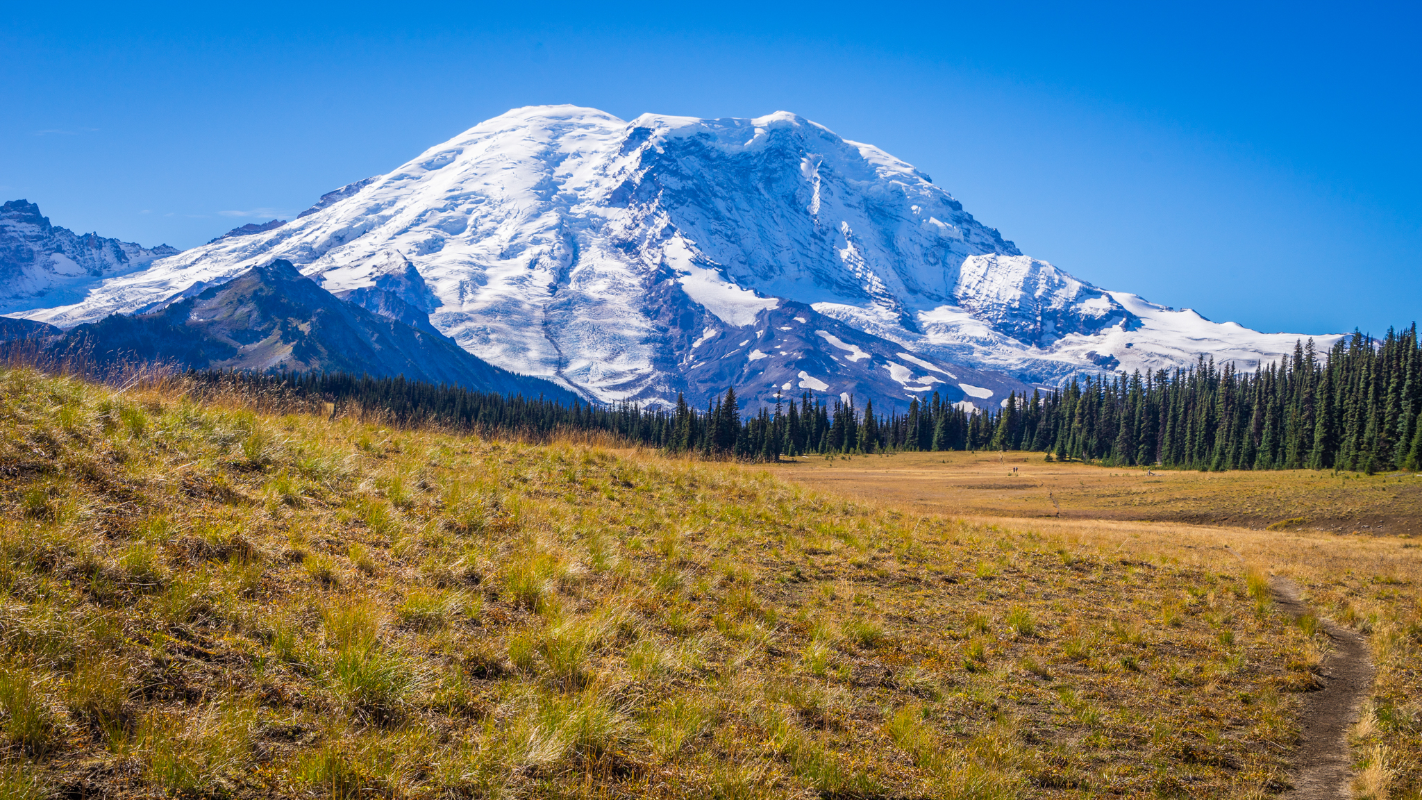 Photo from Washington State