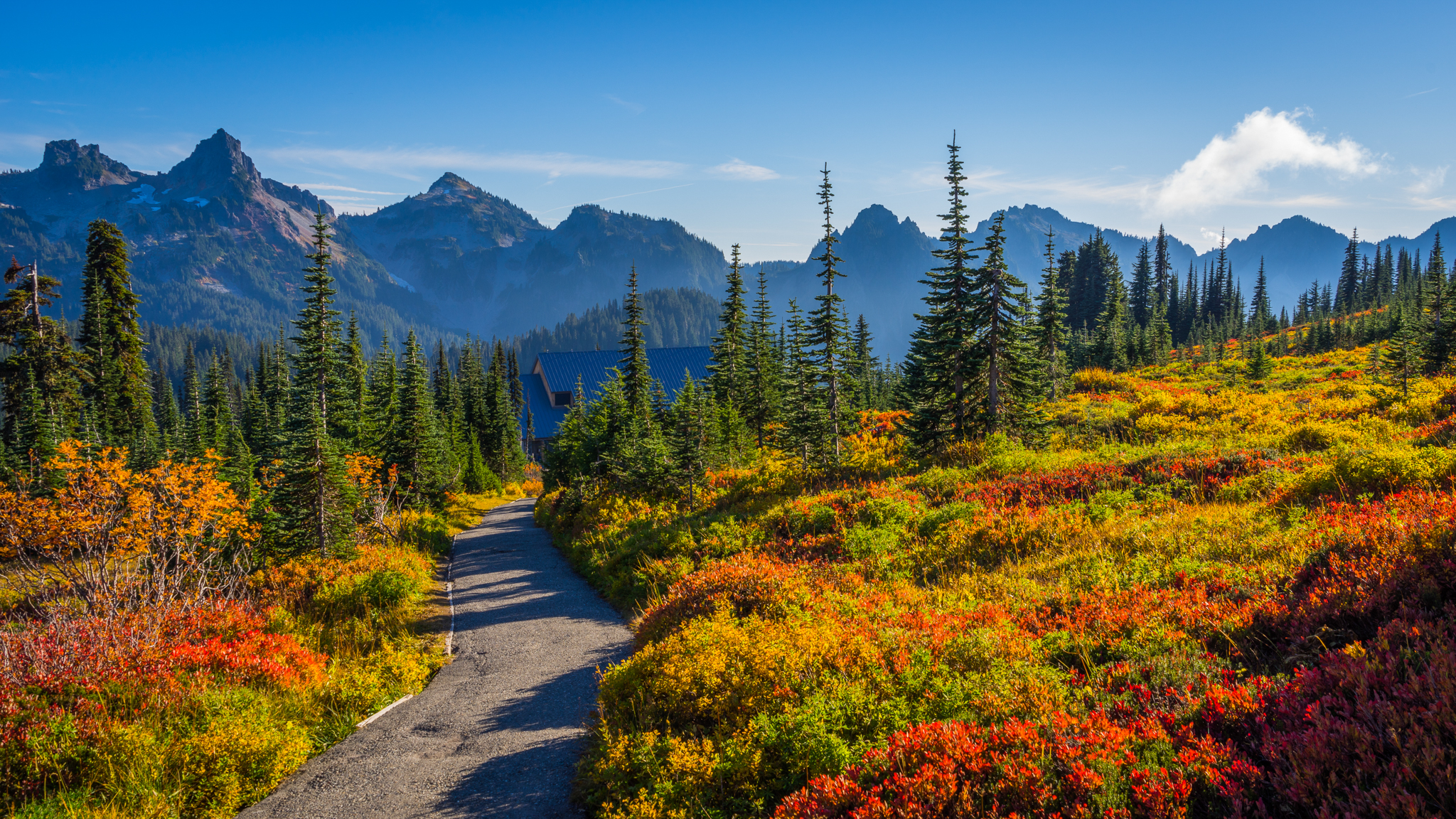 Photo from Washington State