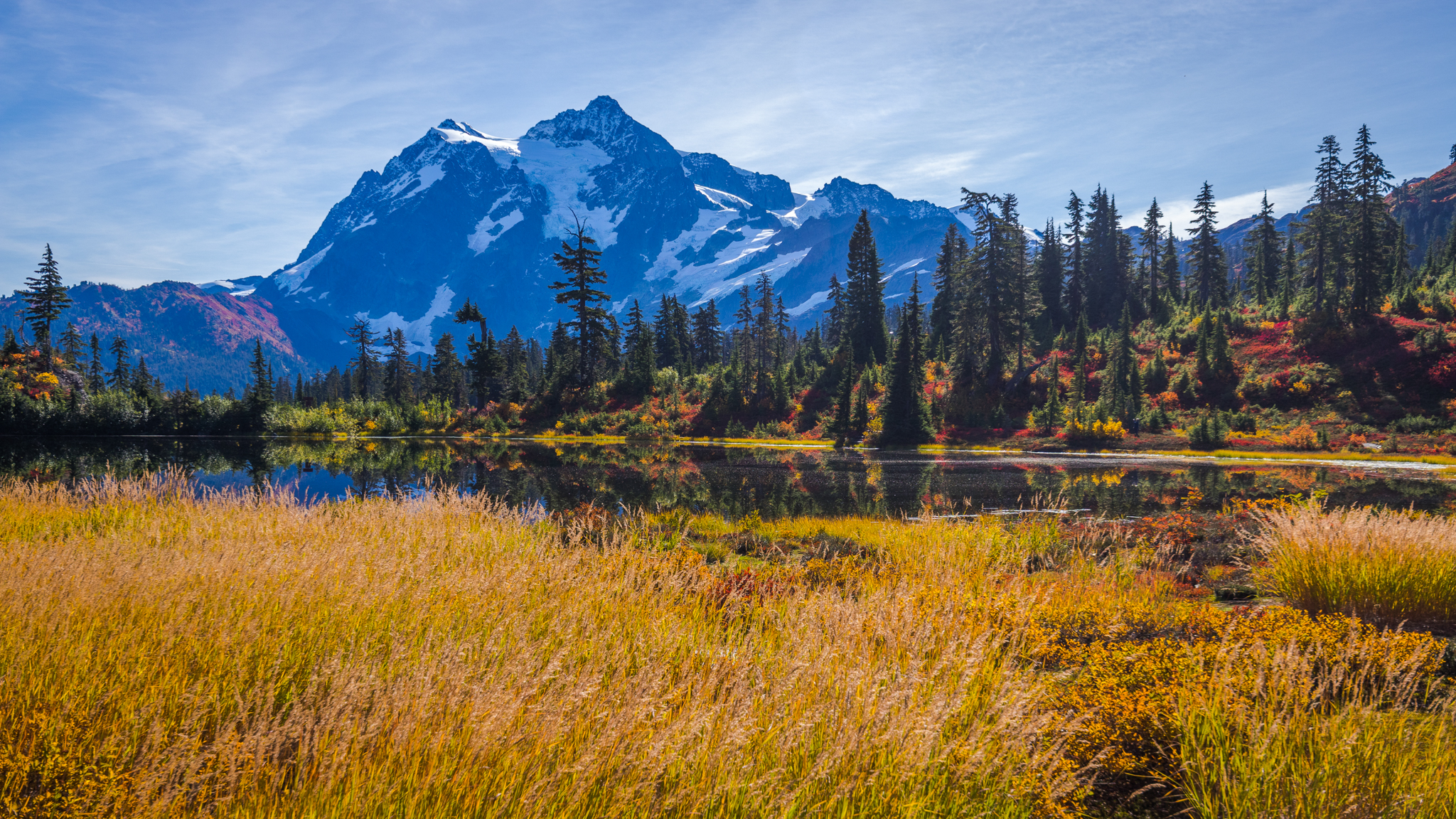 Photo from Washington State