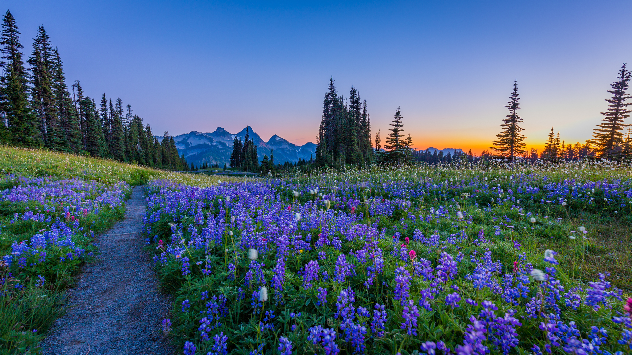 Photo from Washington State