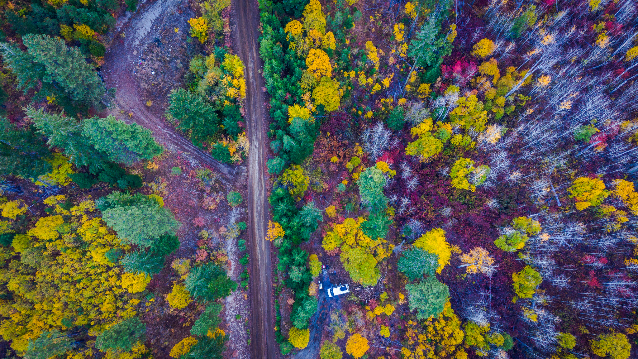 Photo from Washington State