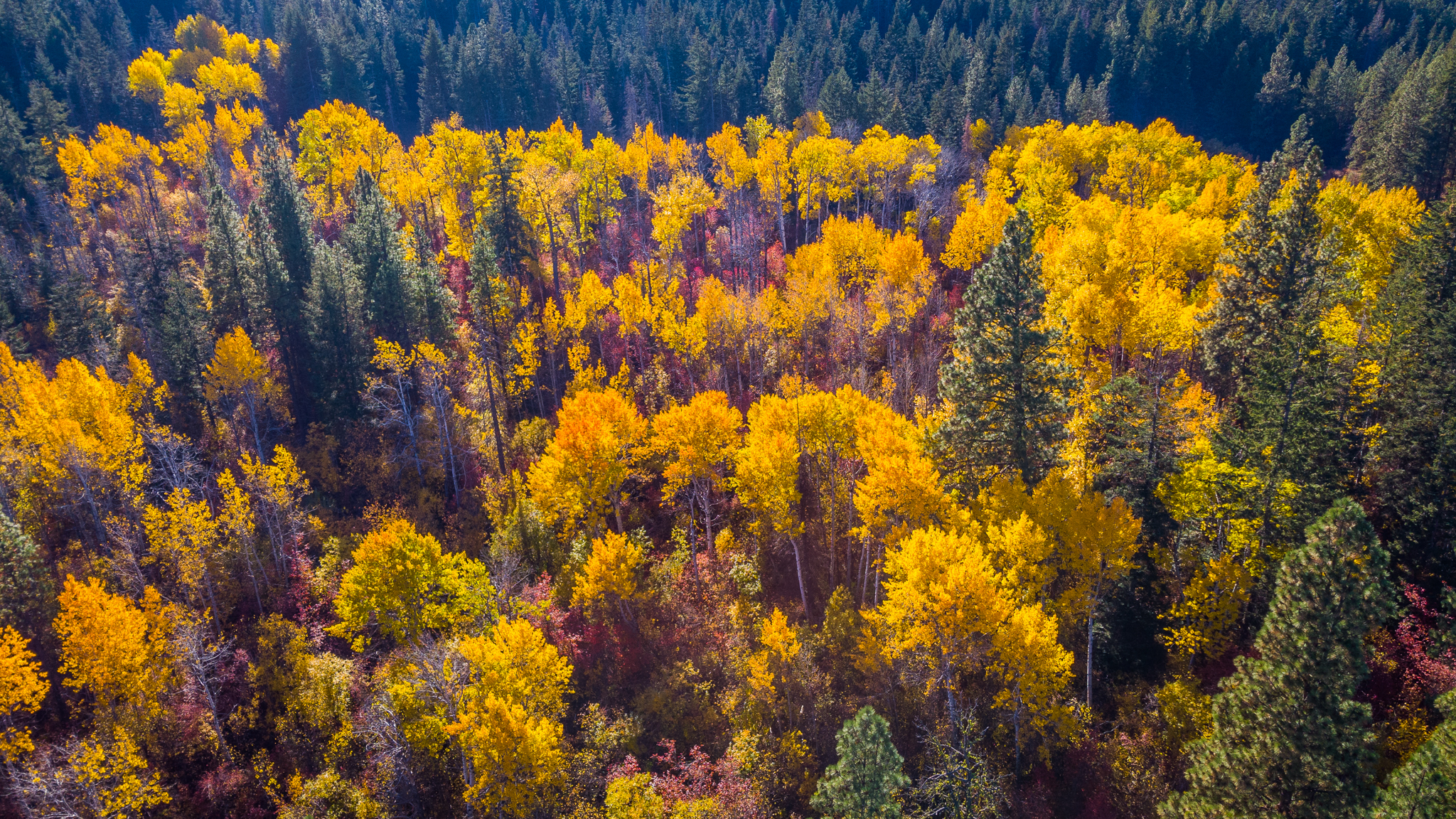 Photo from Washington State