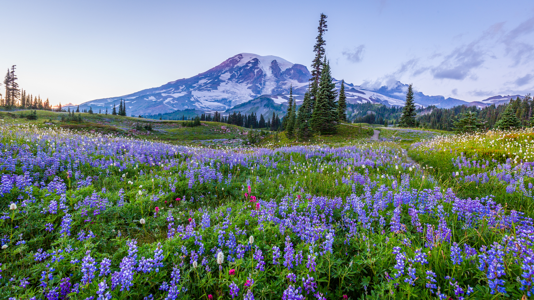 Photo from Washington State