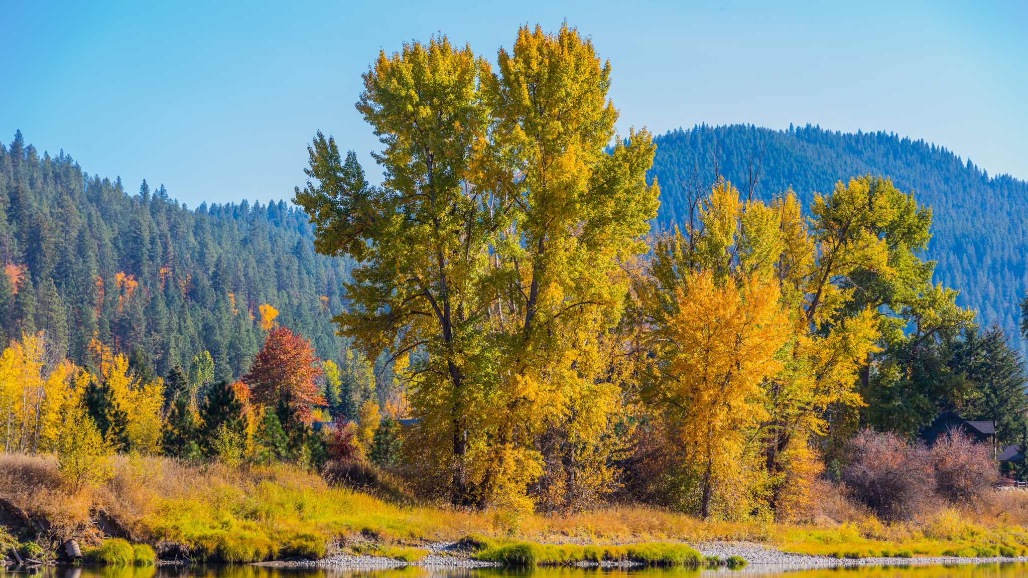 Photo from Washington State