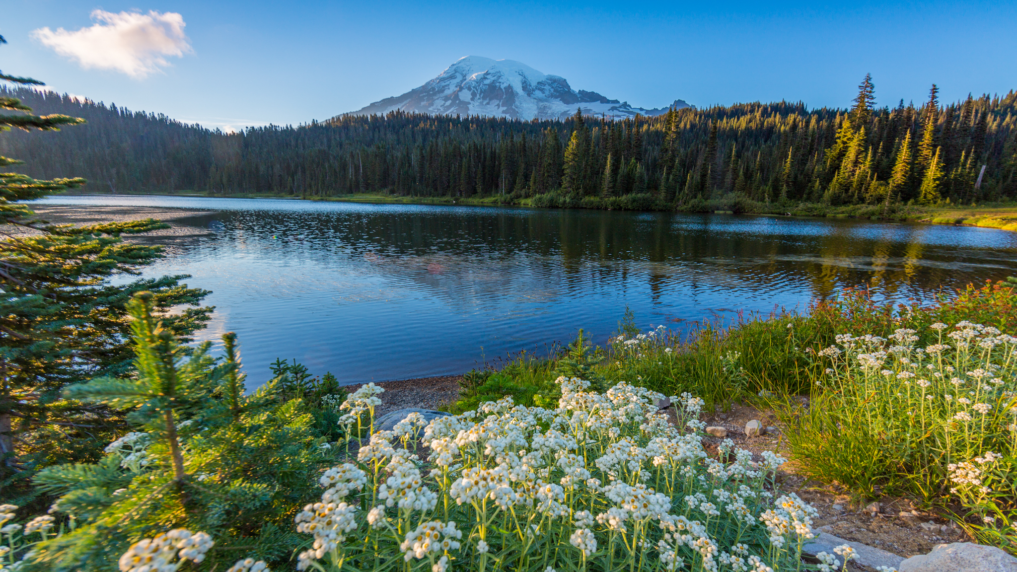 Photo from Washington State