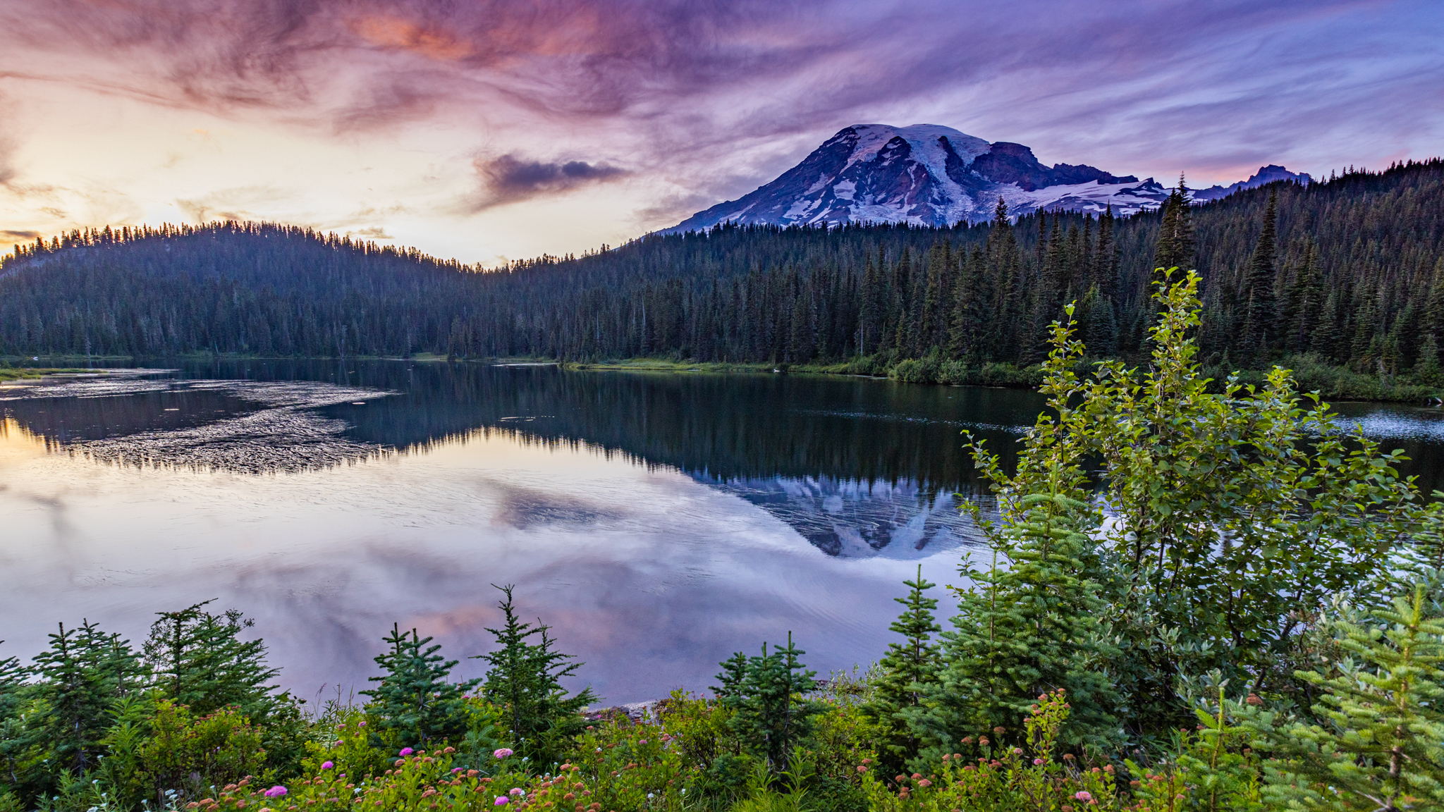 Photo from Washington State