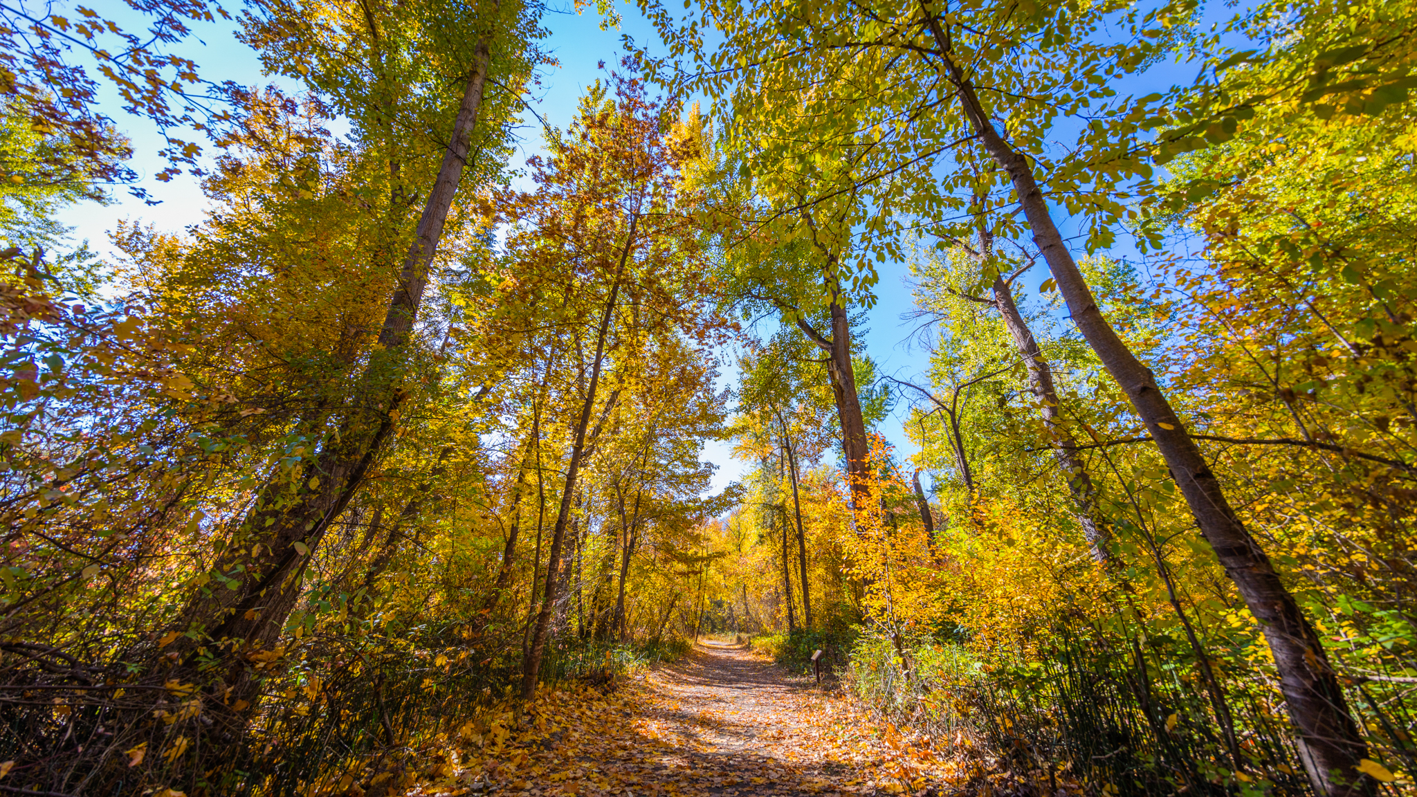 Photo from Washington State