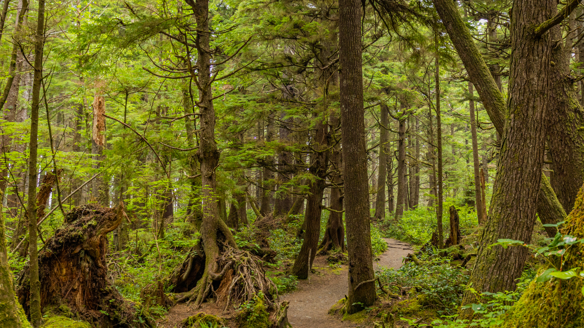 Photo from Washington State