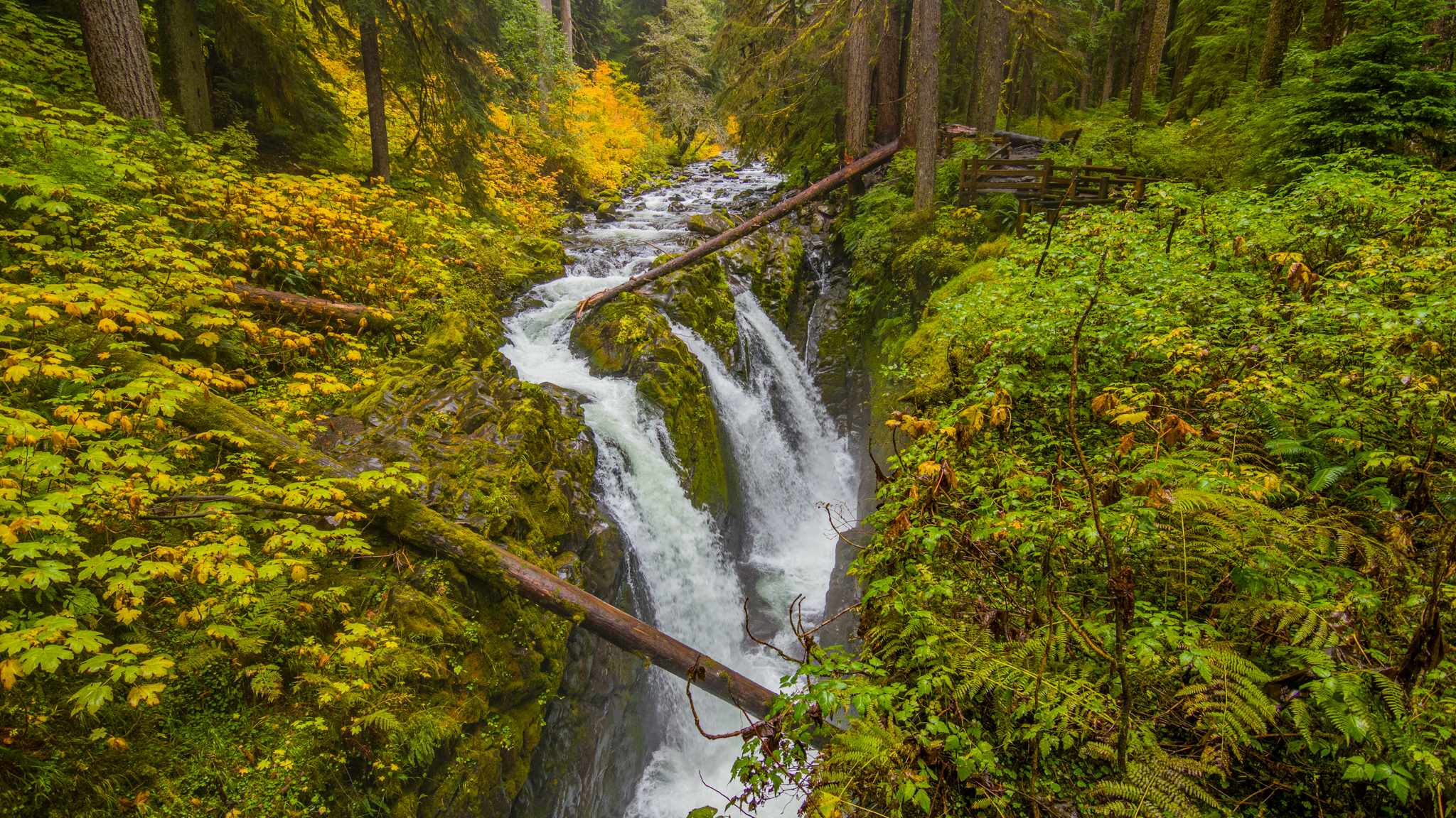 Photo from Washington State