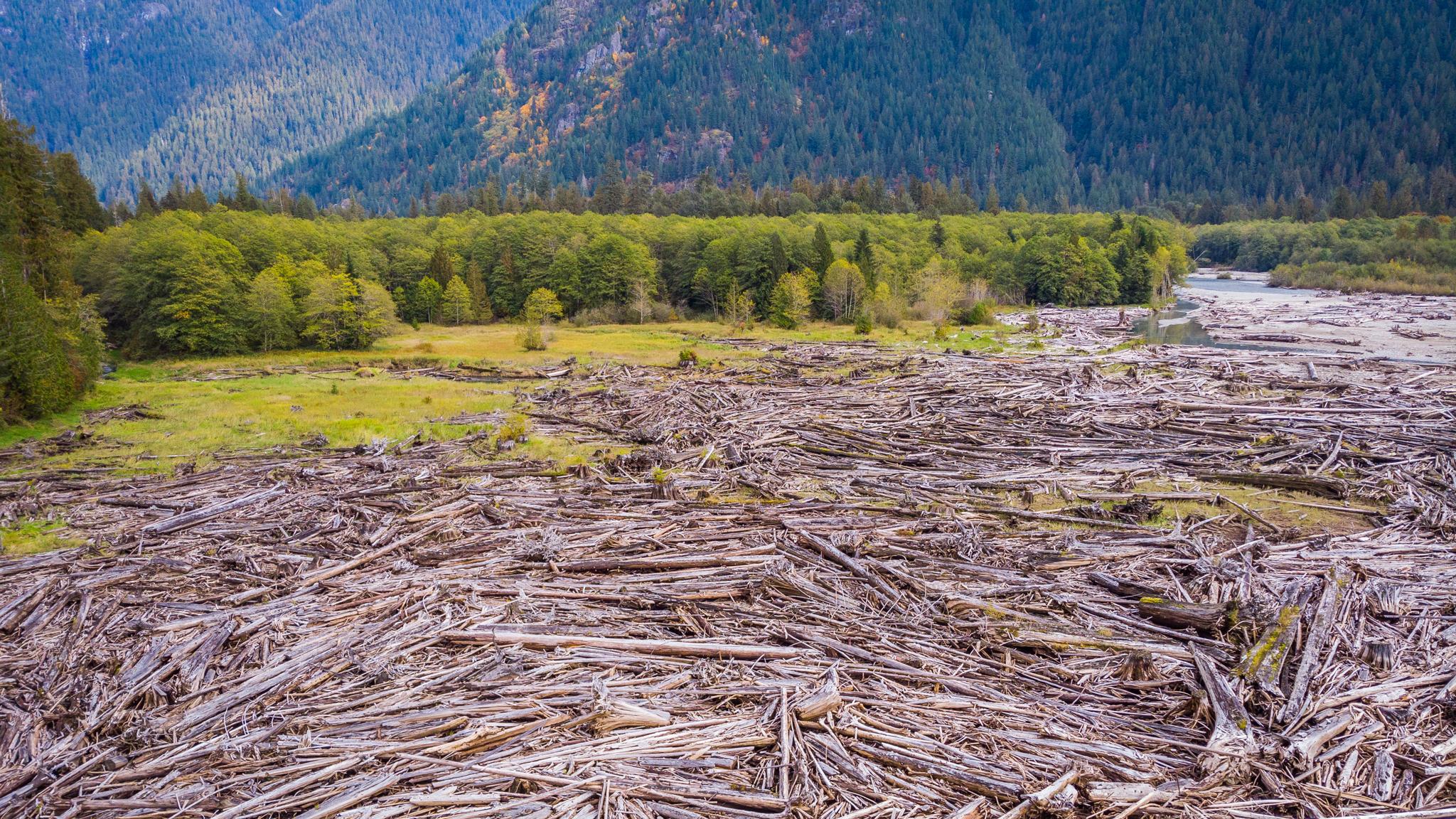 Photo from Washington State