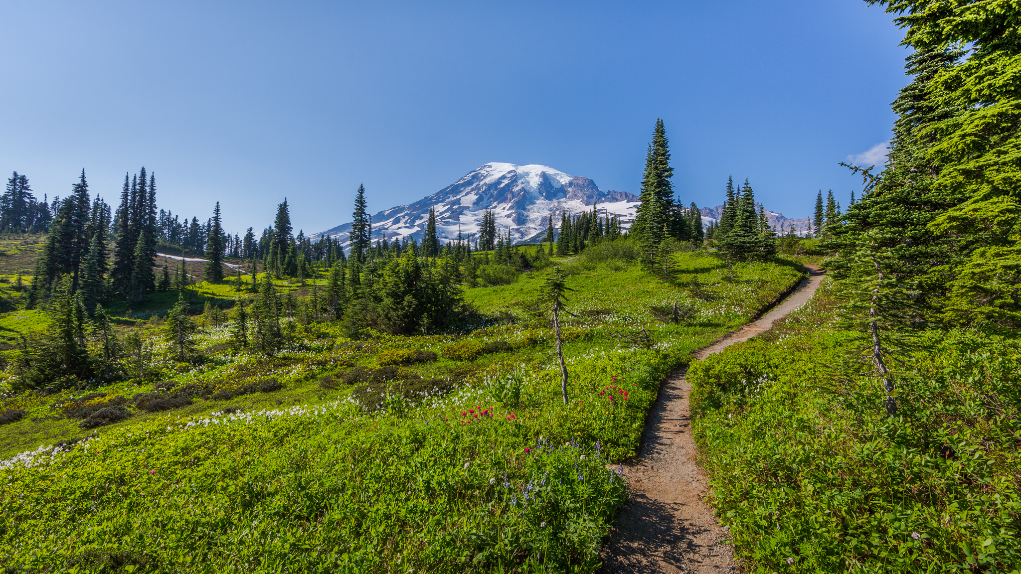 Photo from Washington State