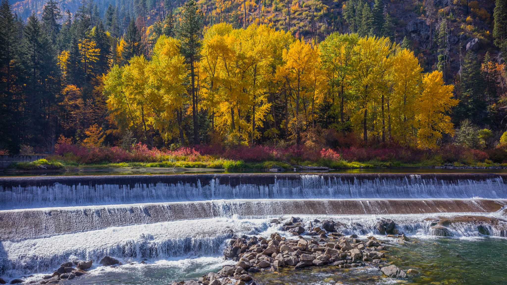 Photo from Washington State