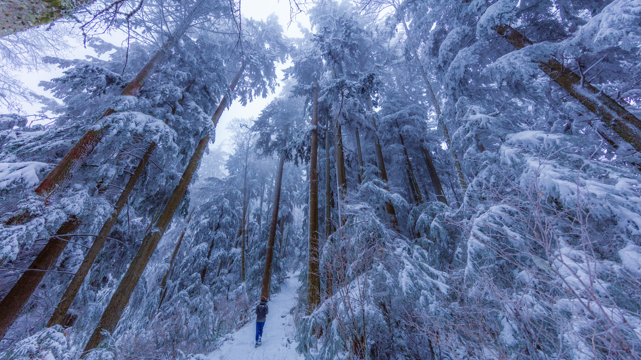 Photo from Washington State