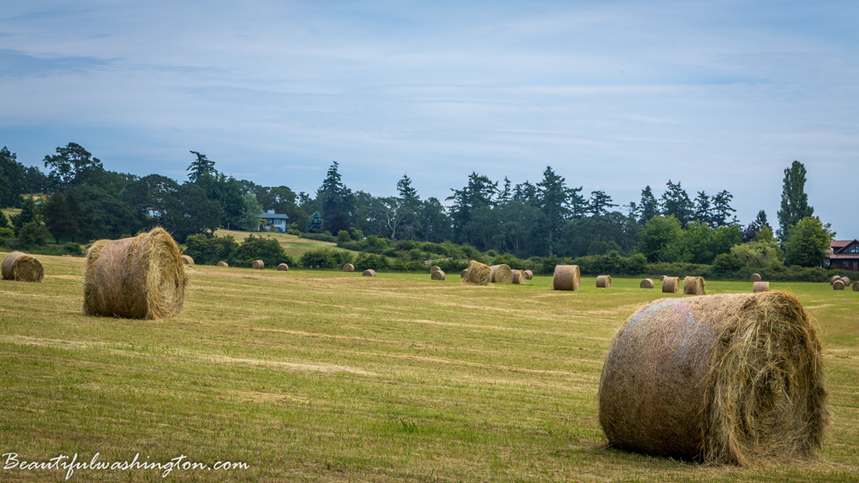 Photo from Washington State