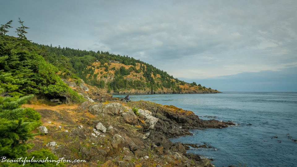 Photo from Washington State