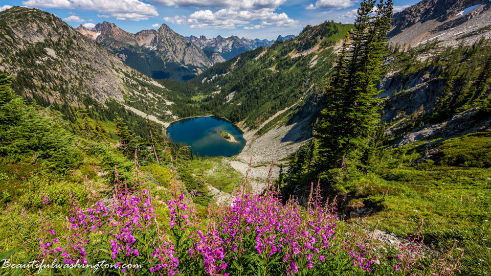 Photo from Washington State