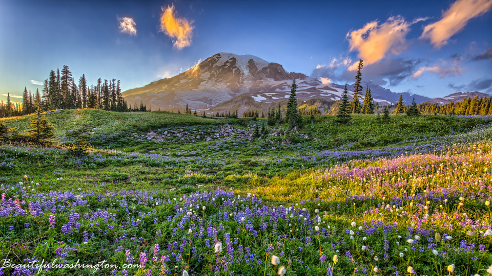 Photo from Washington State