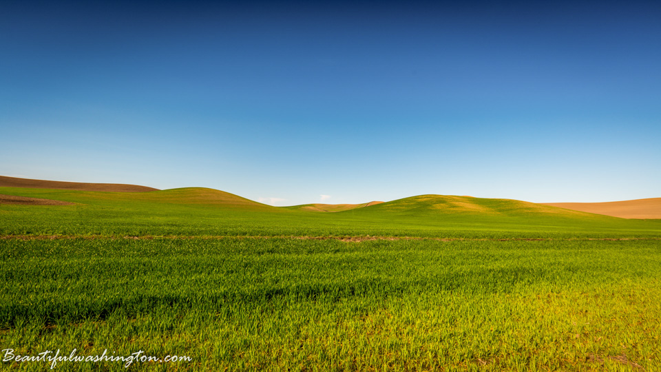 Photo from Washington State