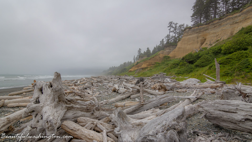 Photo from Washington State