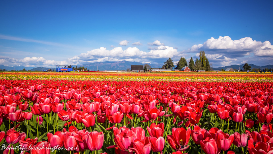 Photo from Washington State