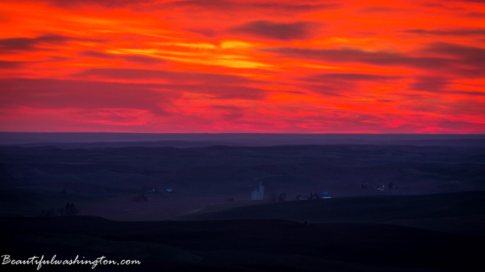 Photo from Washington State