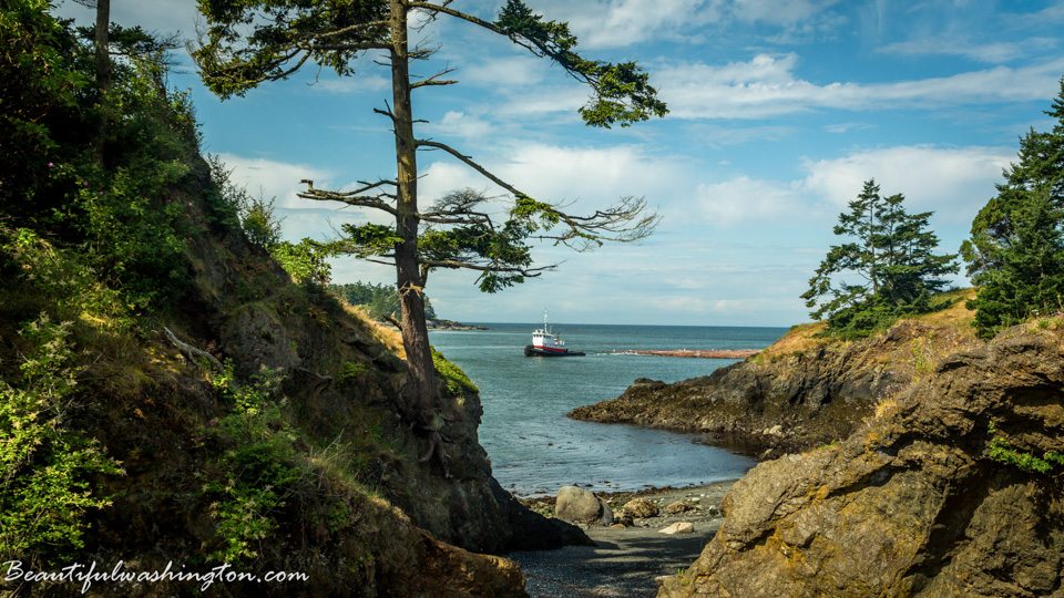 Photo from Washington State