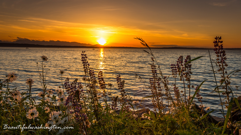 Photo from Washington State