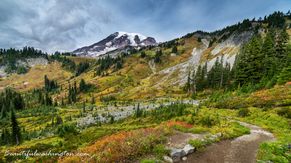 Photo from Washington State