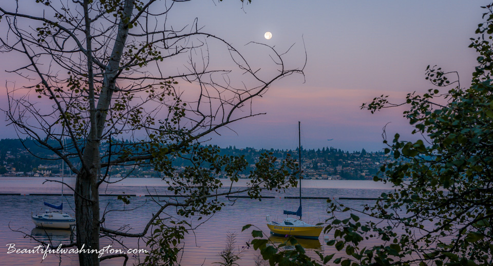 Photo from Washington State