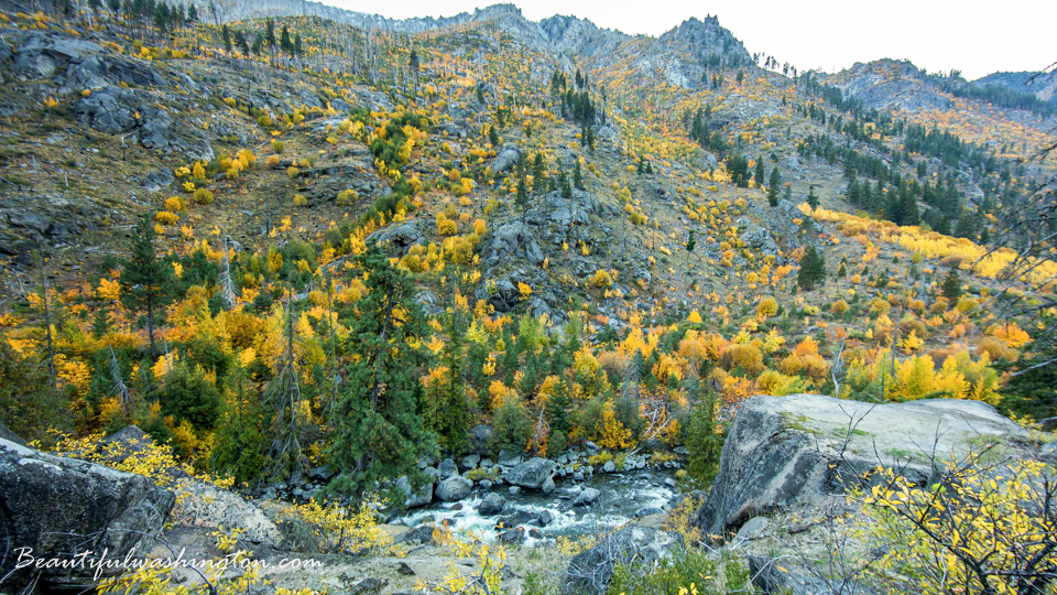 Photo from Washington State