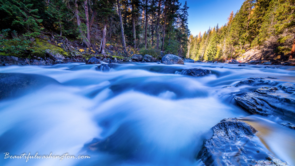 Photo from Washington State